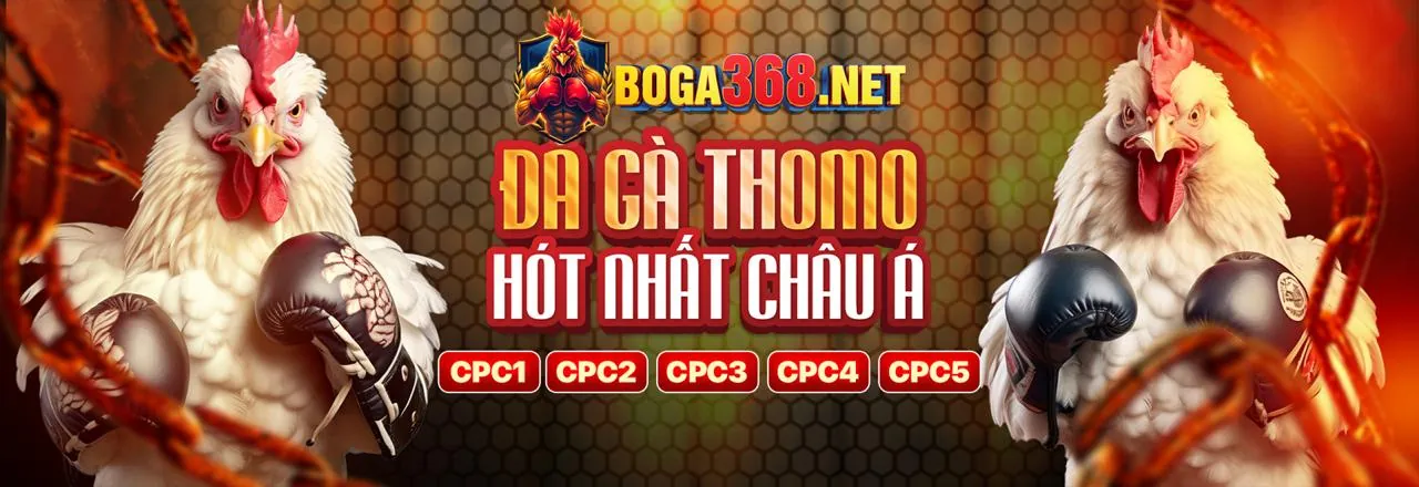 Hình ảnh chính Blog 88org trang chủ chính thức 2026