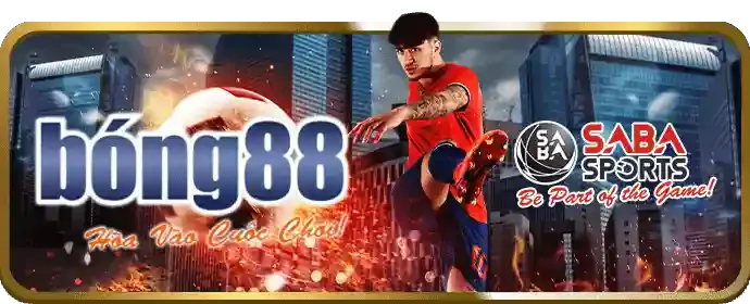 Giới hạn cược và rút tiền cao hơn cho thành viên VIP 88org